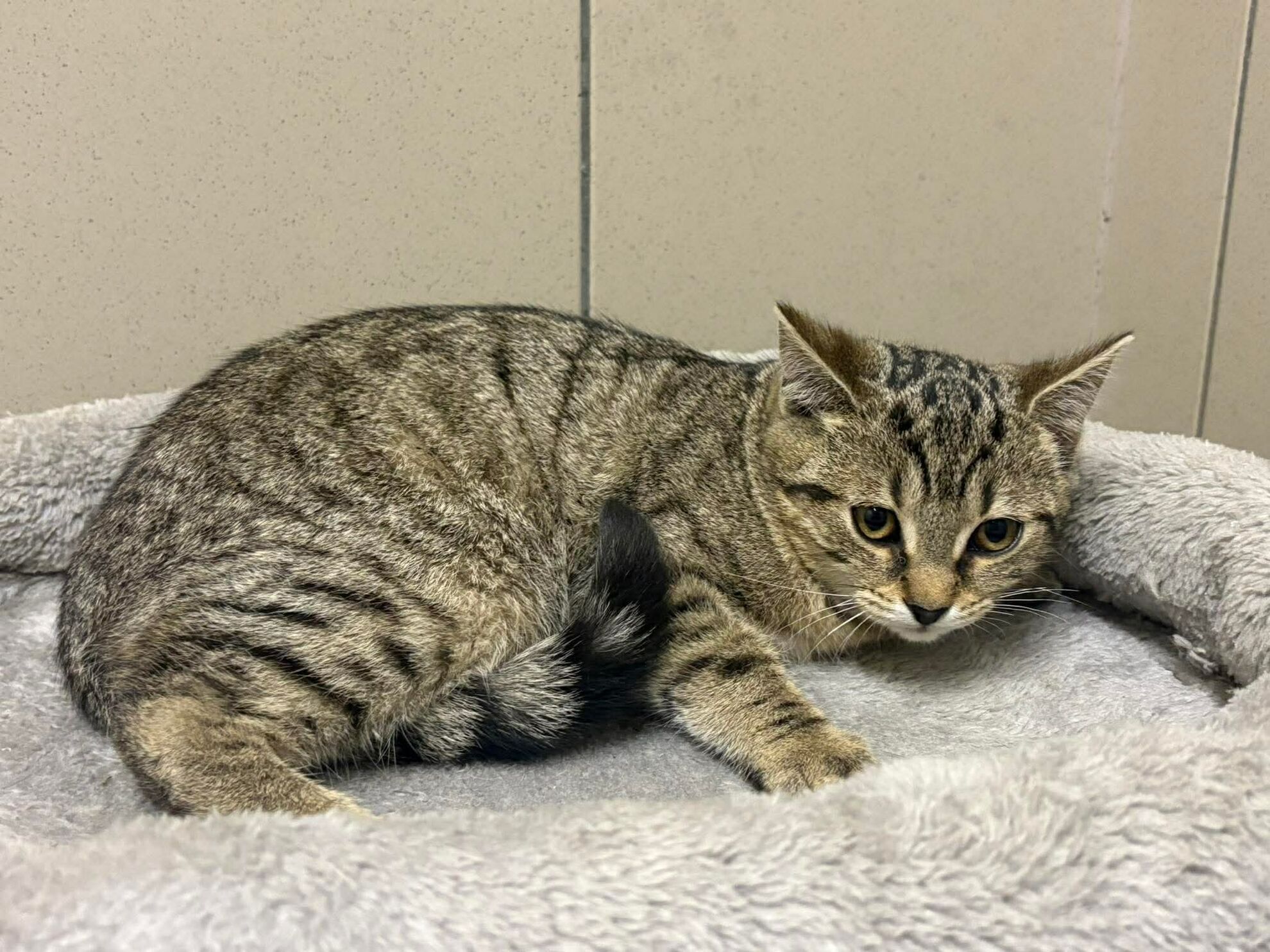 c0d72d4a908c959c94f7a1ee6f63d7b5 (1)